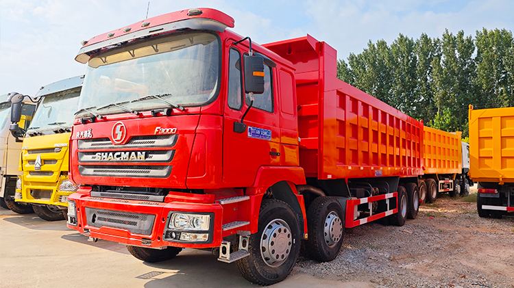 Used Shacman Dump Truck for Sale Price in Zambia